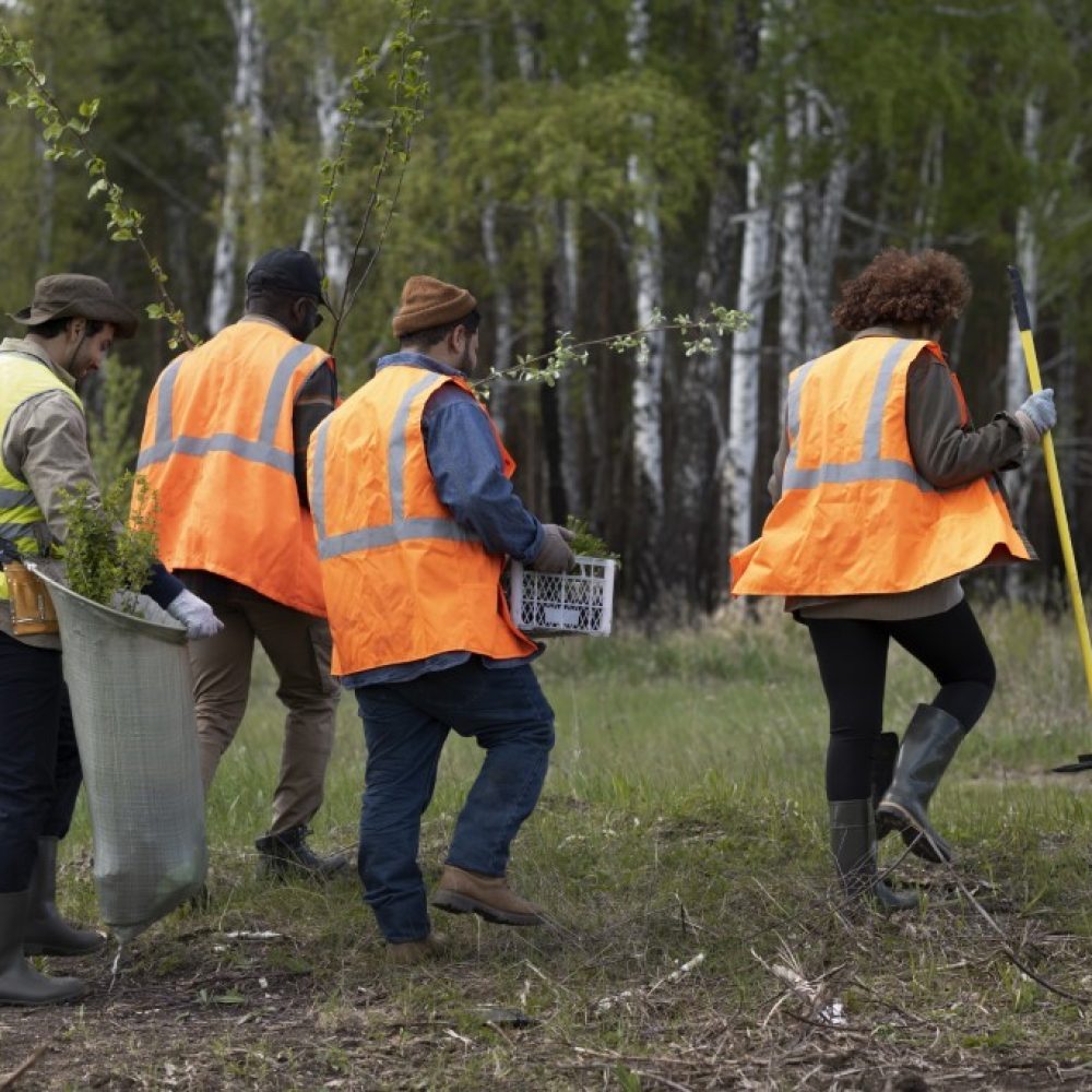 reforestation-done-by-voluntary-group